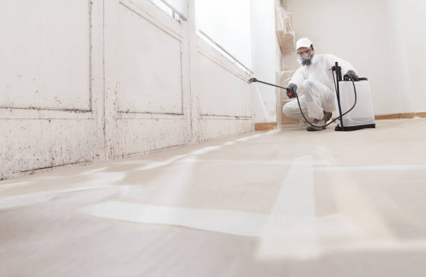 24/7 Emergency Attic Mold Removal experts in Rockville, MD