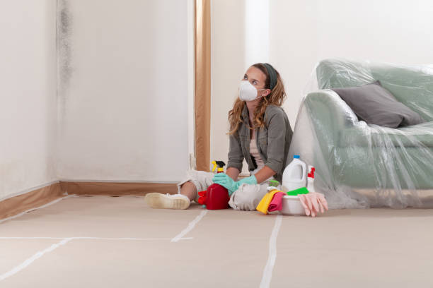 Reliable Mold Cleanup contractor in Rockville, MD by Cheap Mold Removal